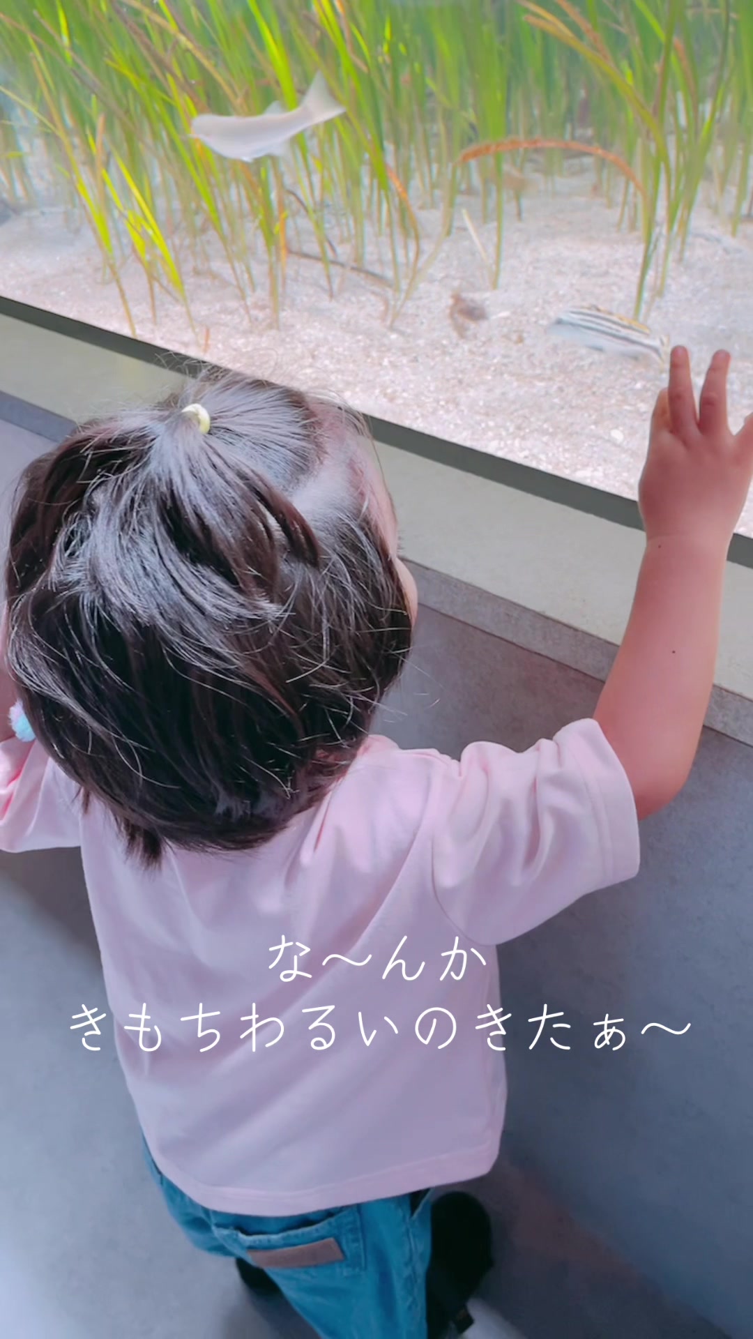 @hinaharu_mama