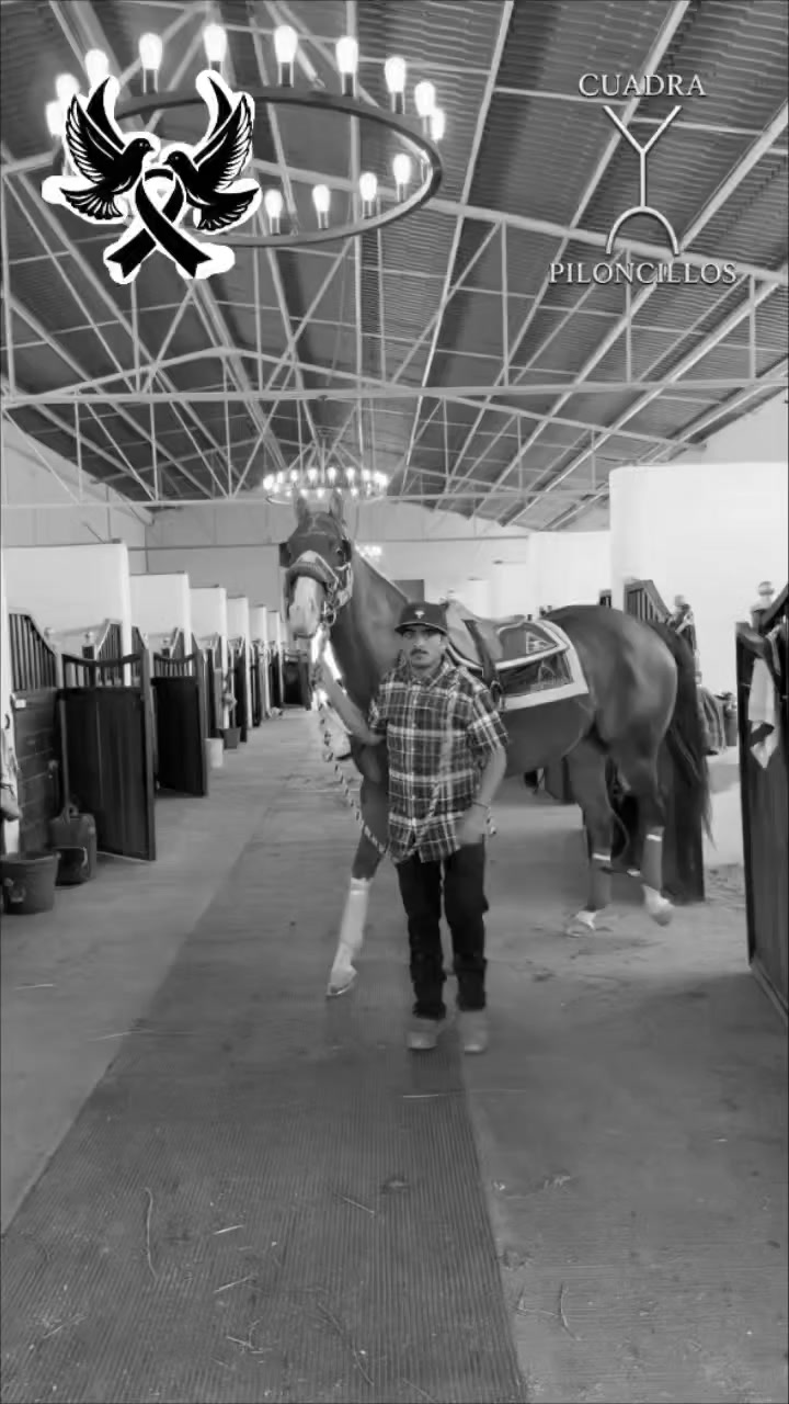 @carriles altos de jalisco🐎