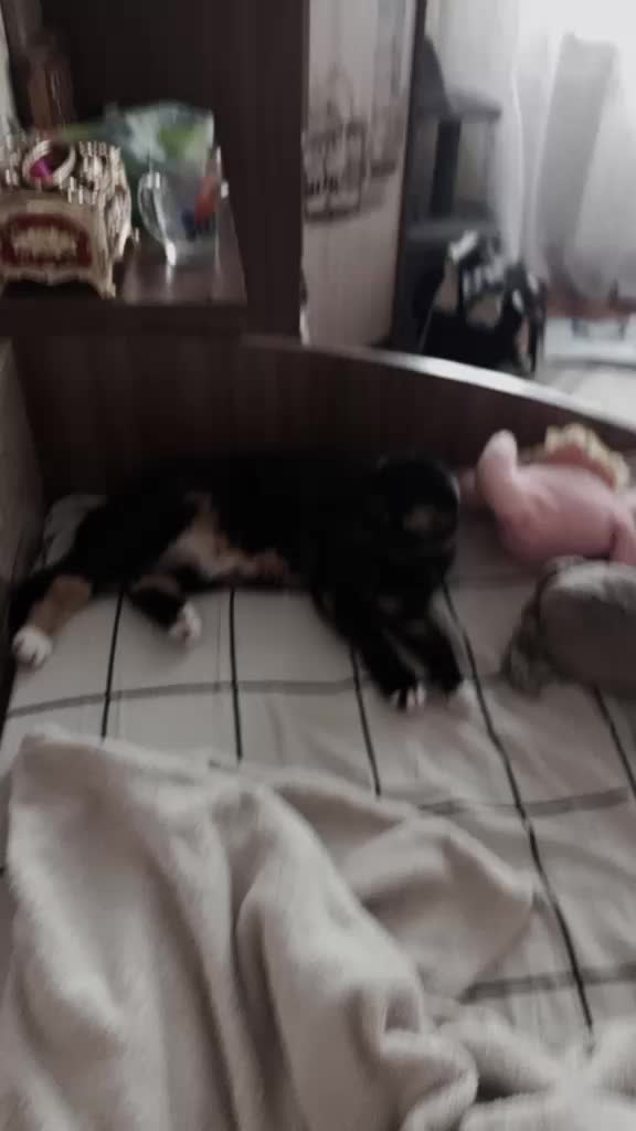 @Verronichka🐆🤍