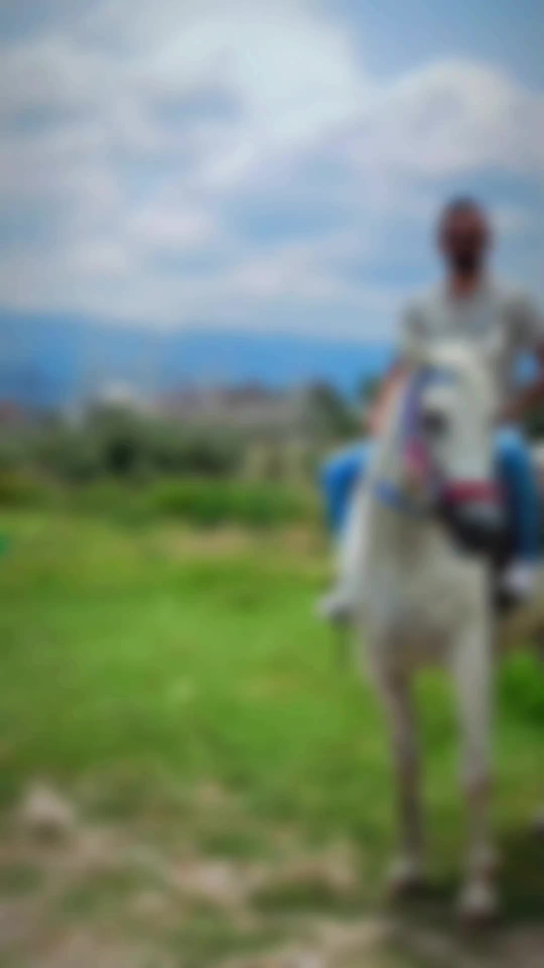 @Mehmet Mısır