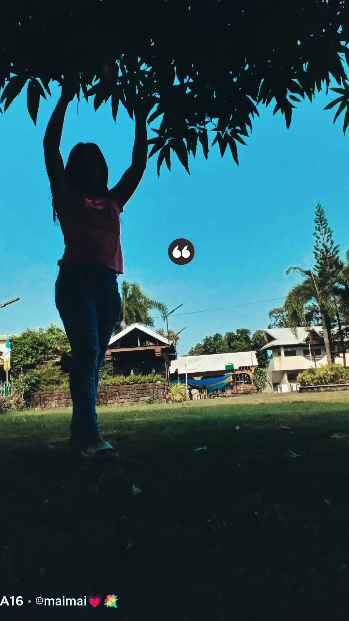 @maimai
