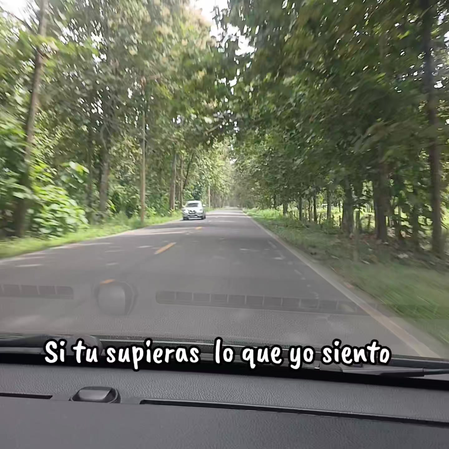@Allan Moya