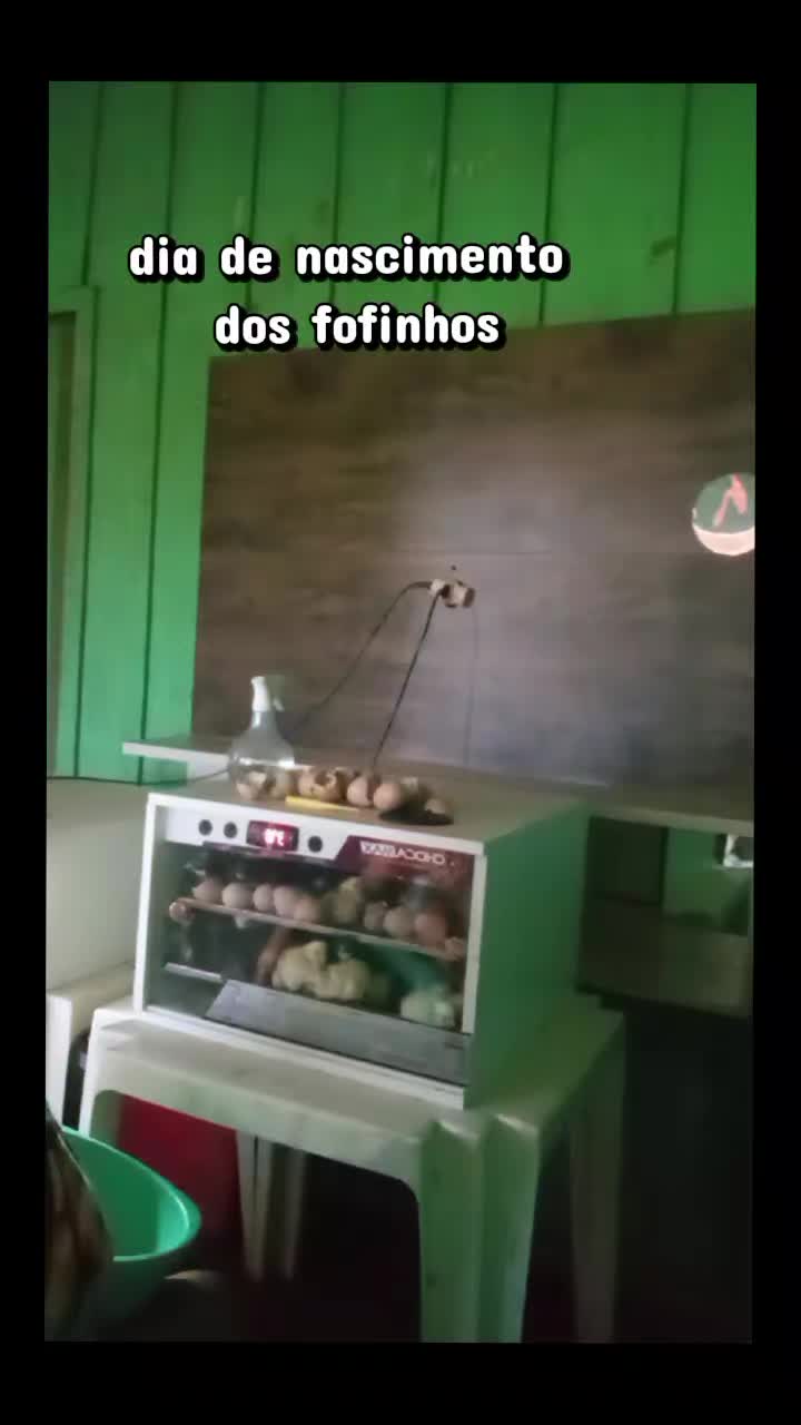 @BrunaMartins💕