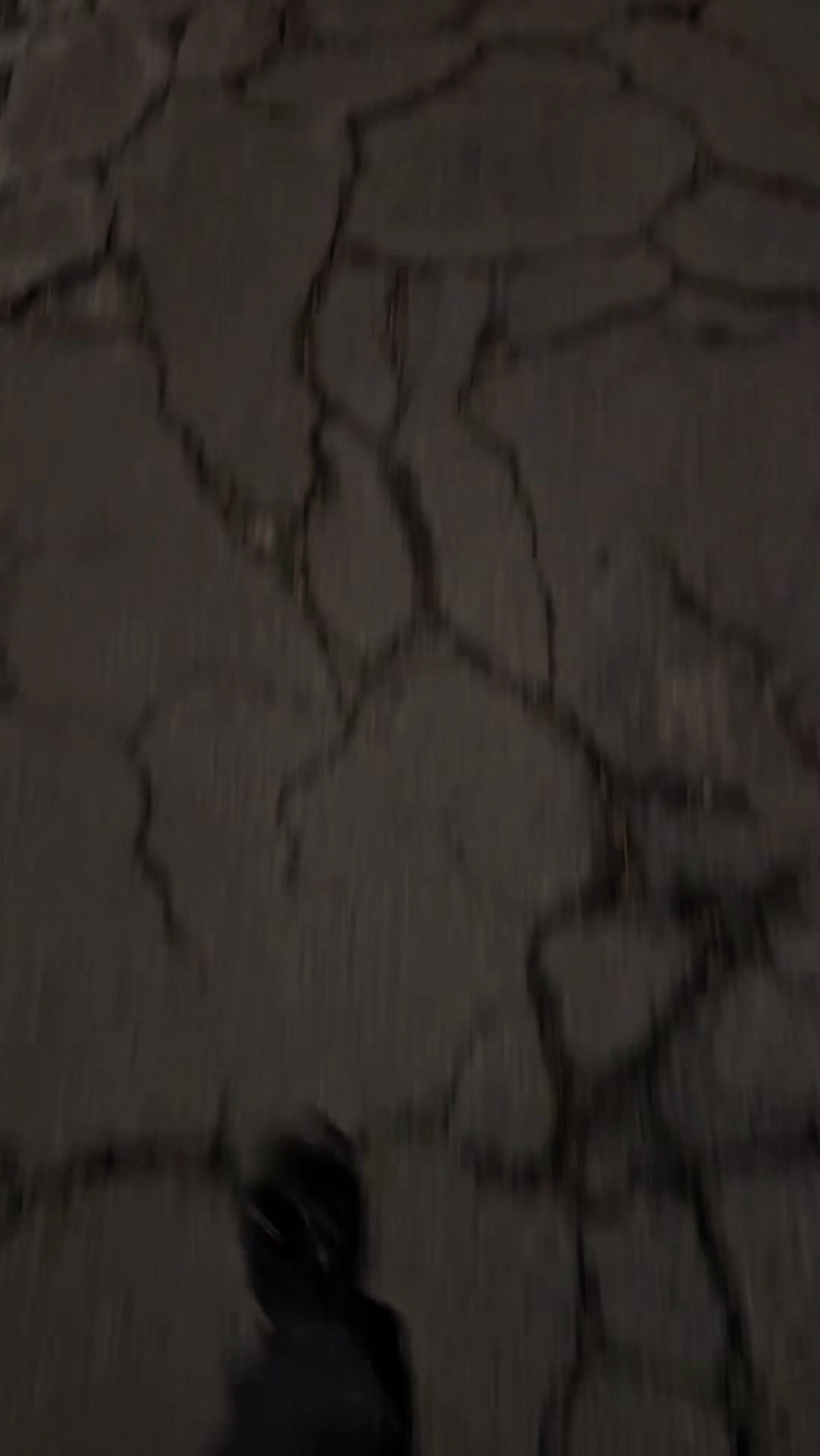 @𝑾𝒆𝒂𝒍𝒕𝒉 𝑻𝒉𝒆𝒐𝒓𝒚`💲