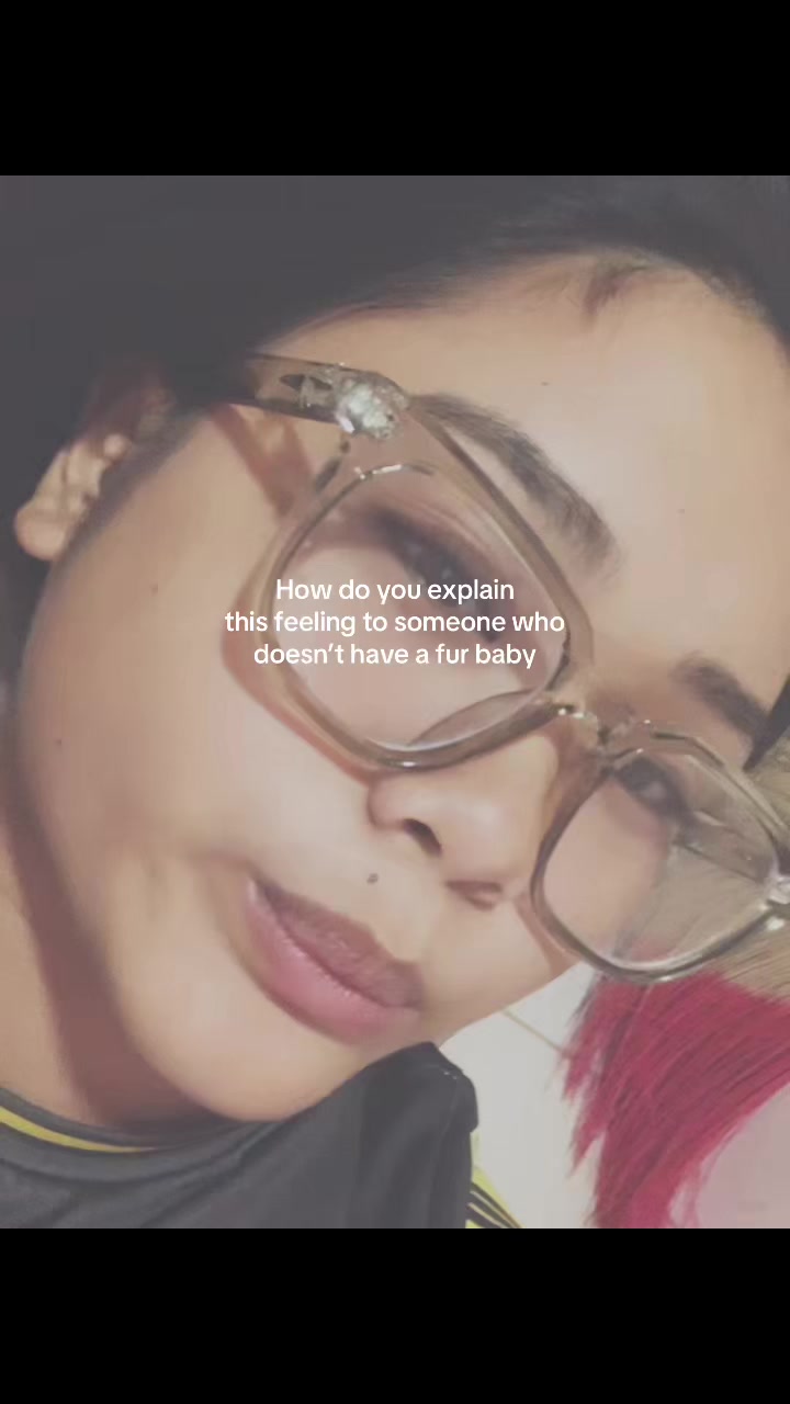 @sari