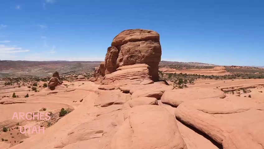 @ToroDude