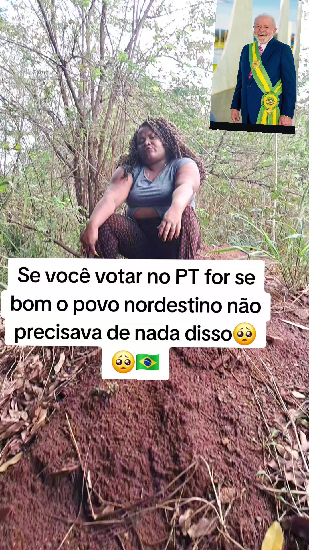 @gata jato