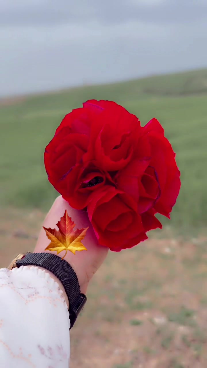 @Emine Başkurt