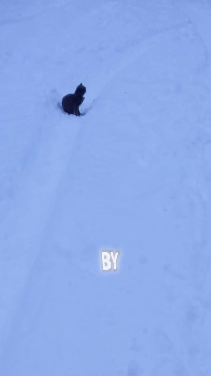 @Сергей
