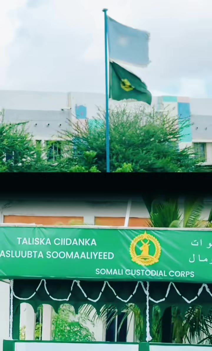 @Cabdirashiid Cusmaan