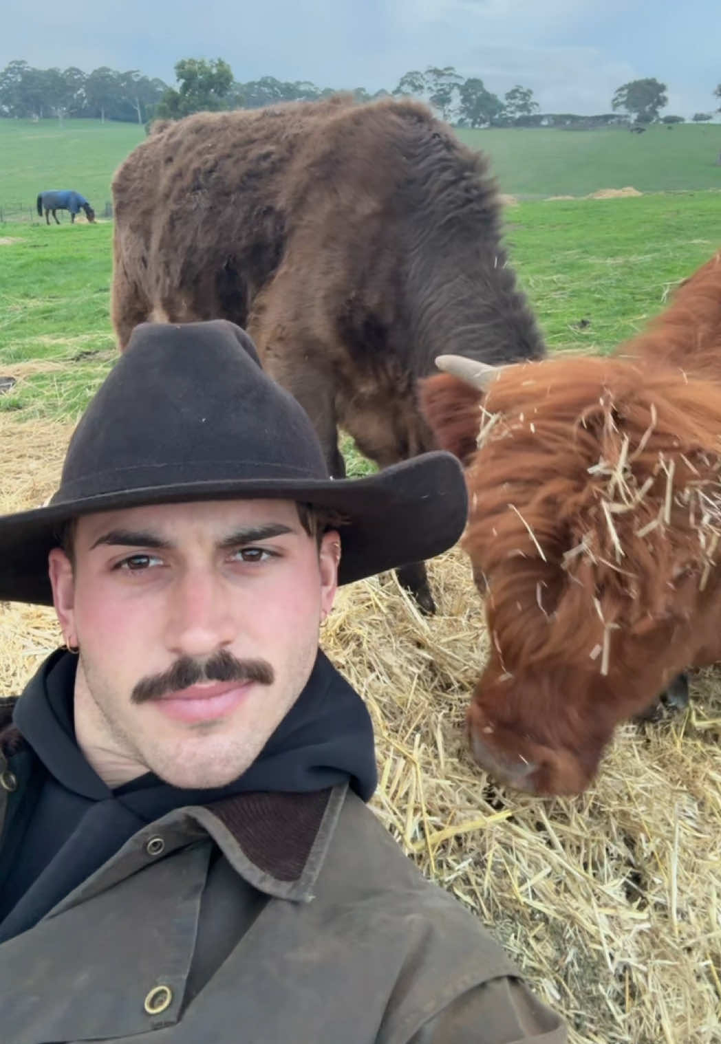 @Liam 🤠