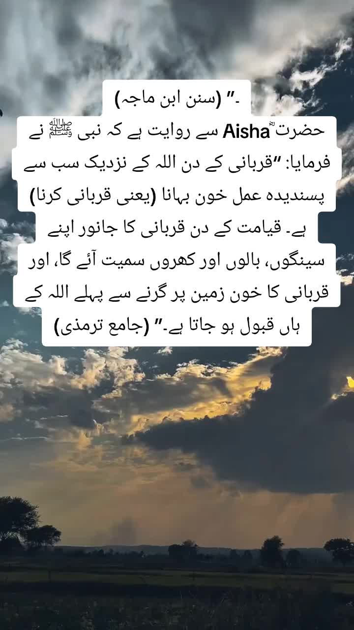 @💪🦅&Ntilde;R🦅🇵🇰
