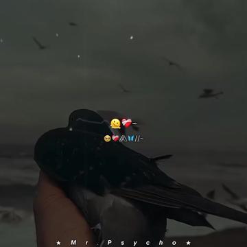 @★𝙈𝙧.𝙋𝙨𝙮𝙘𝙝𝙤★