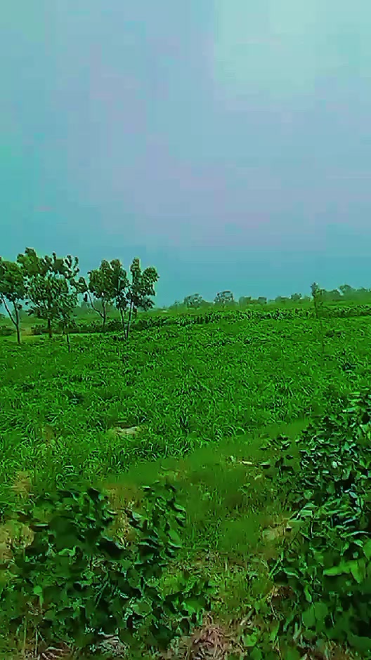 @@Rana