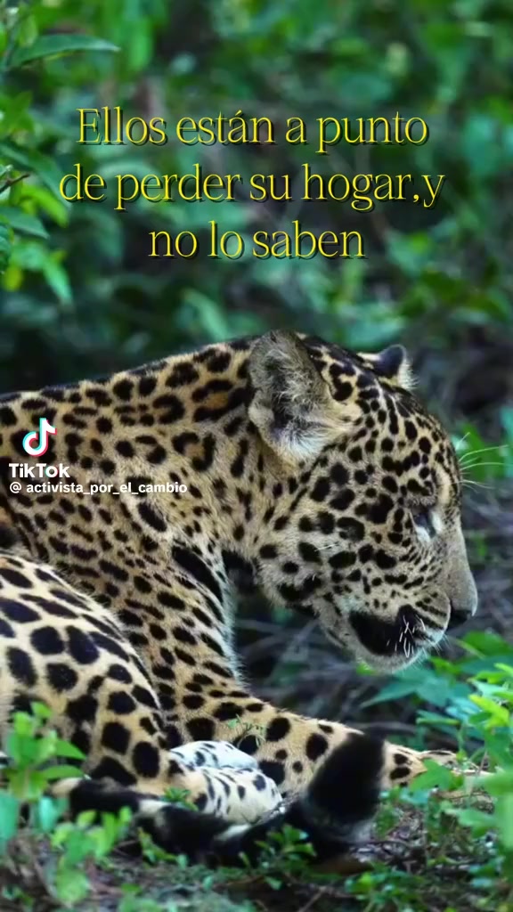 @Calipso🖤❣️🖤❣️