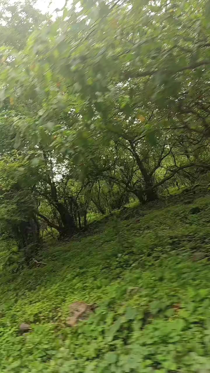 @Ravi❤️