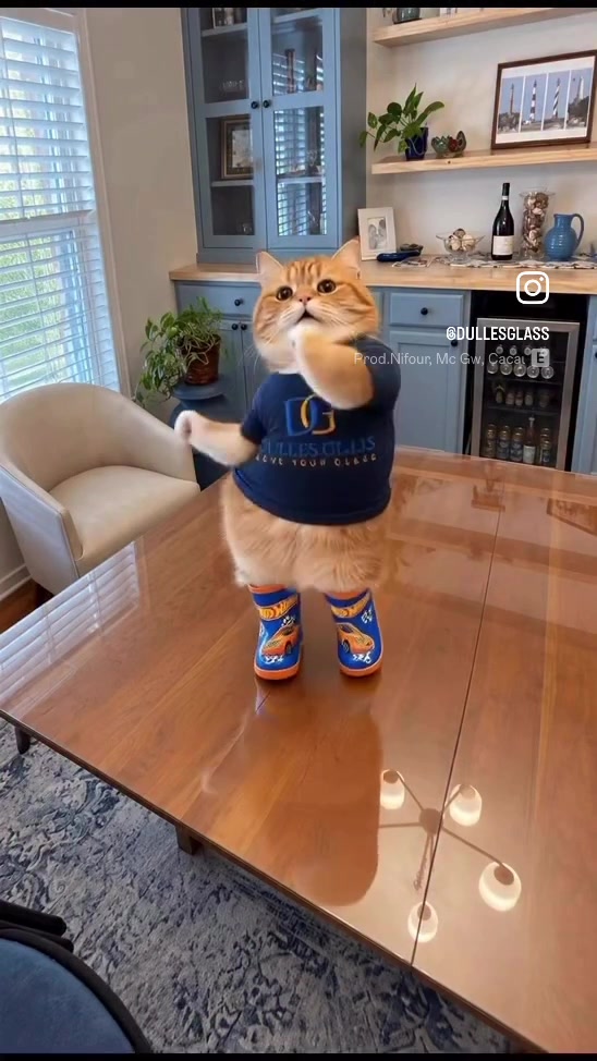 @Iva