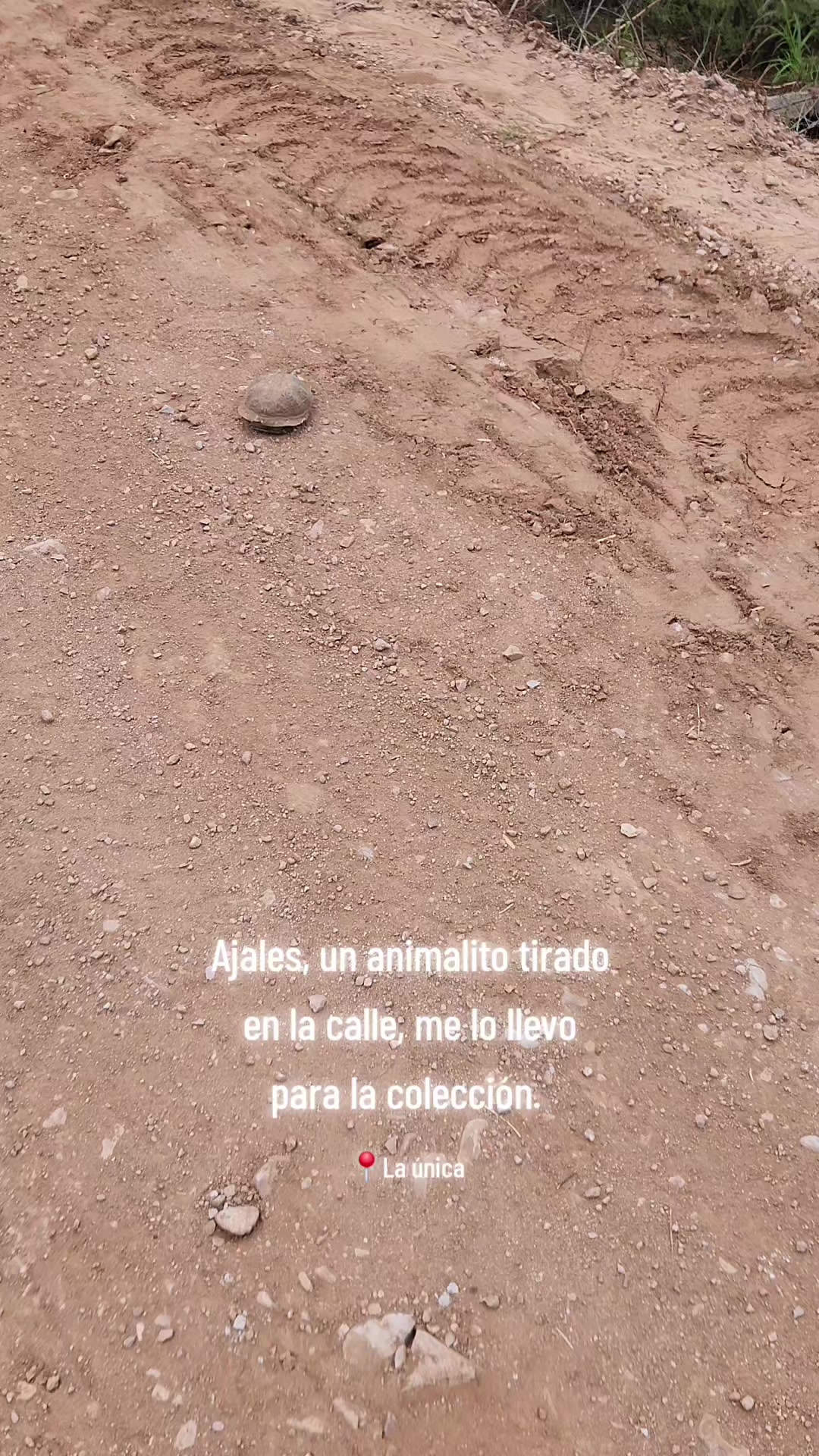 @El De La 450 Negra