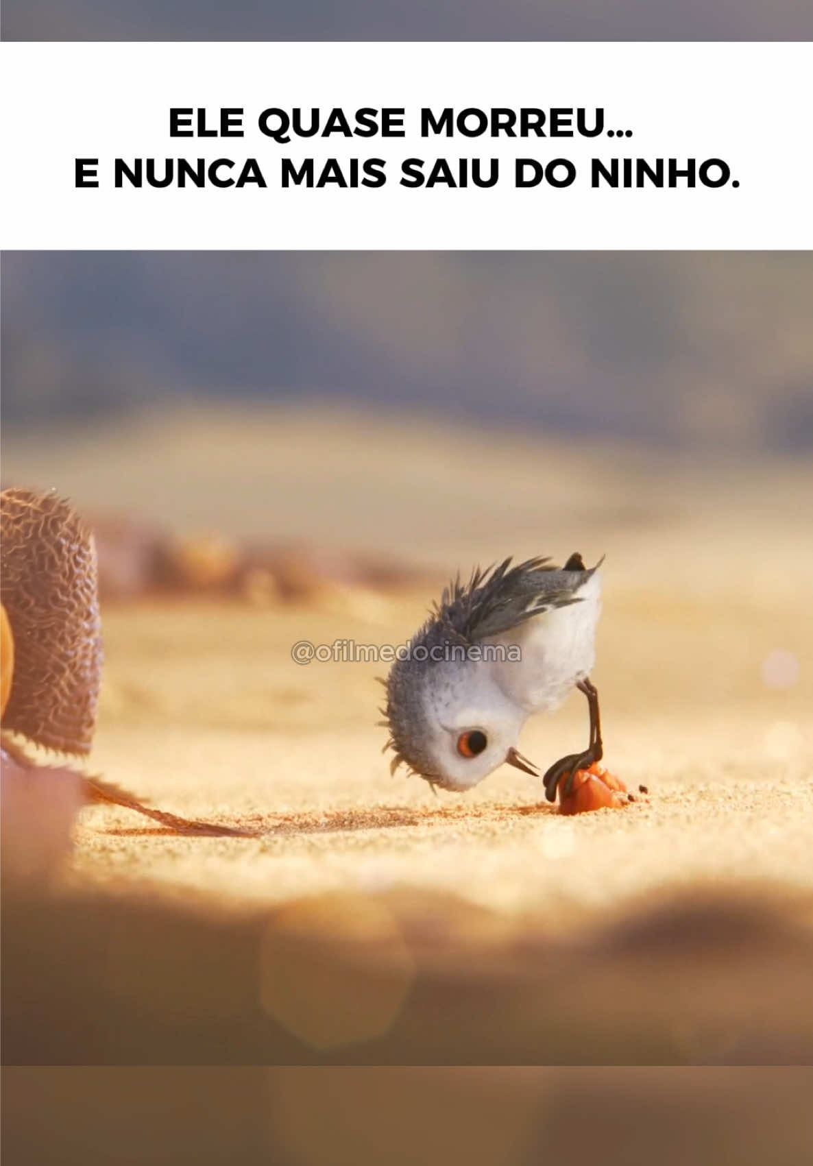 @Resumindo