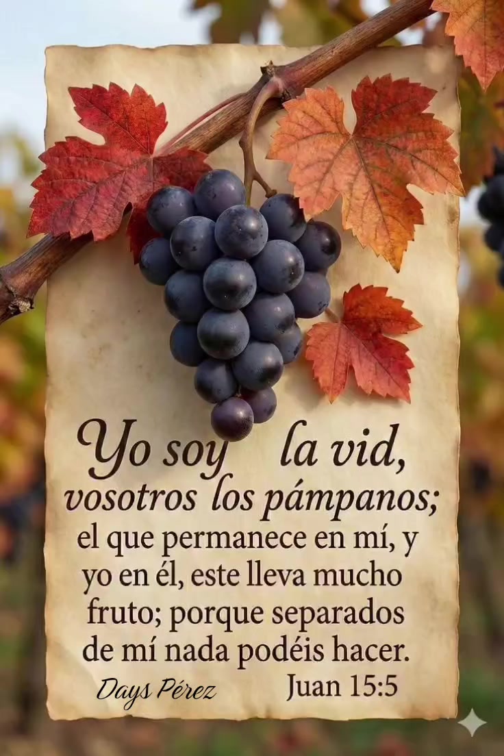 @Days P&eacute;rez