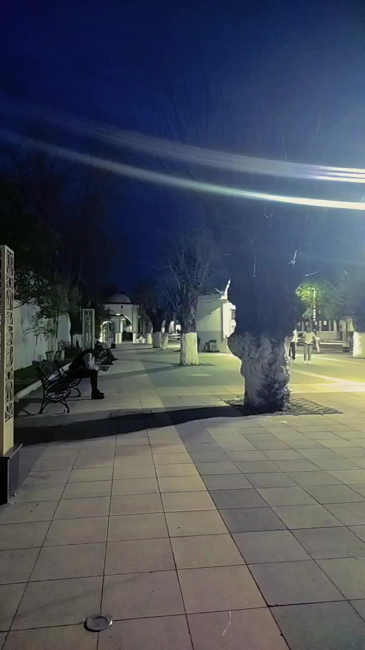 @๐ปโจbearโจ๐ป