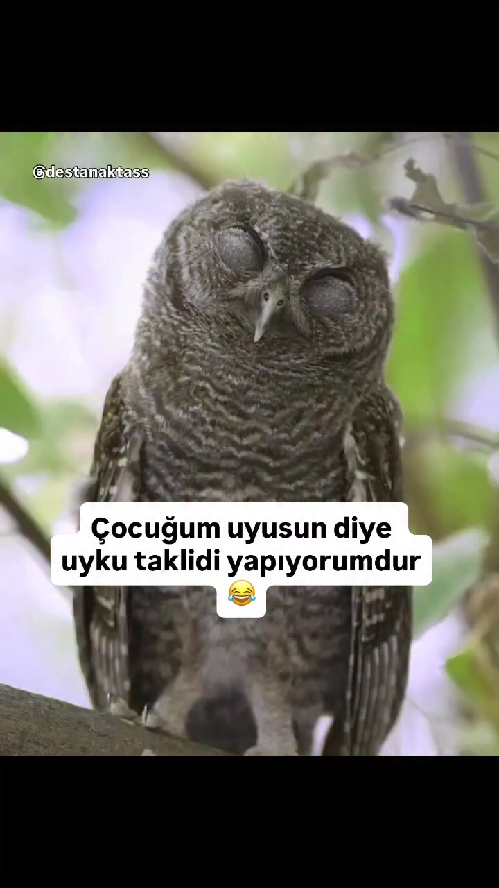 @Yumor_Time95
