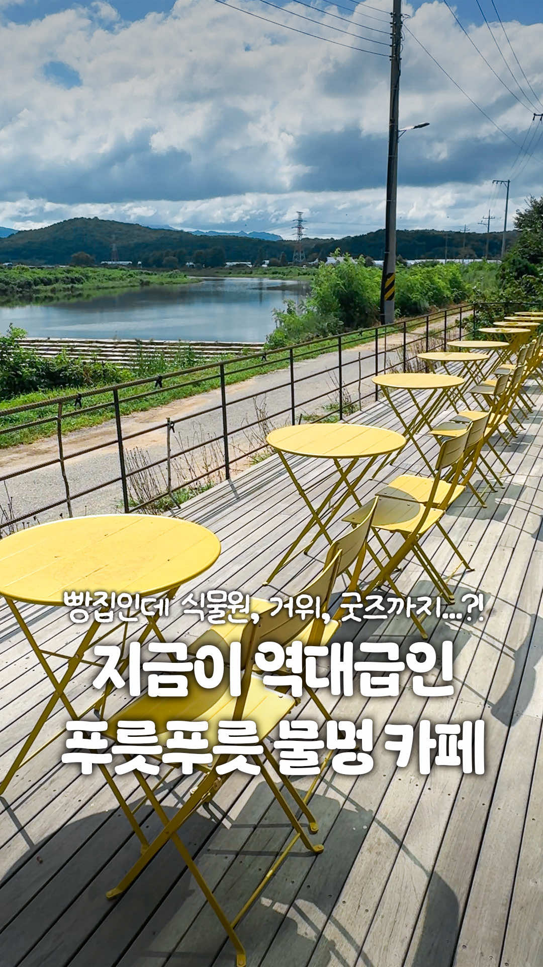 @일산갈고양
