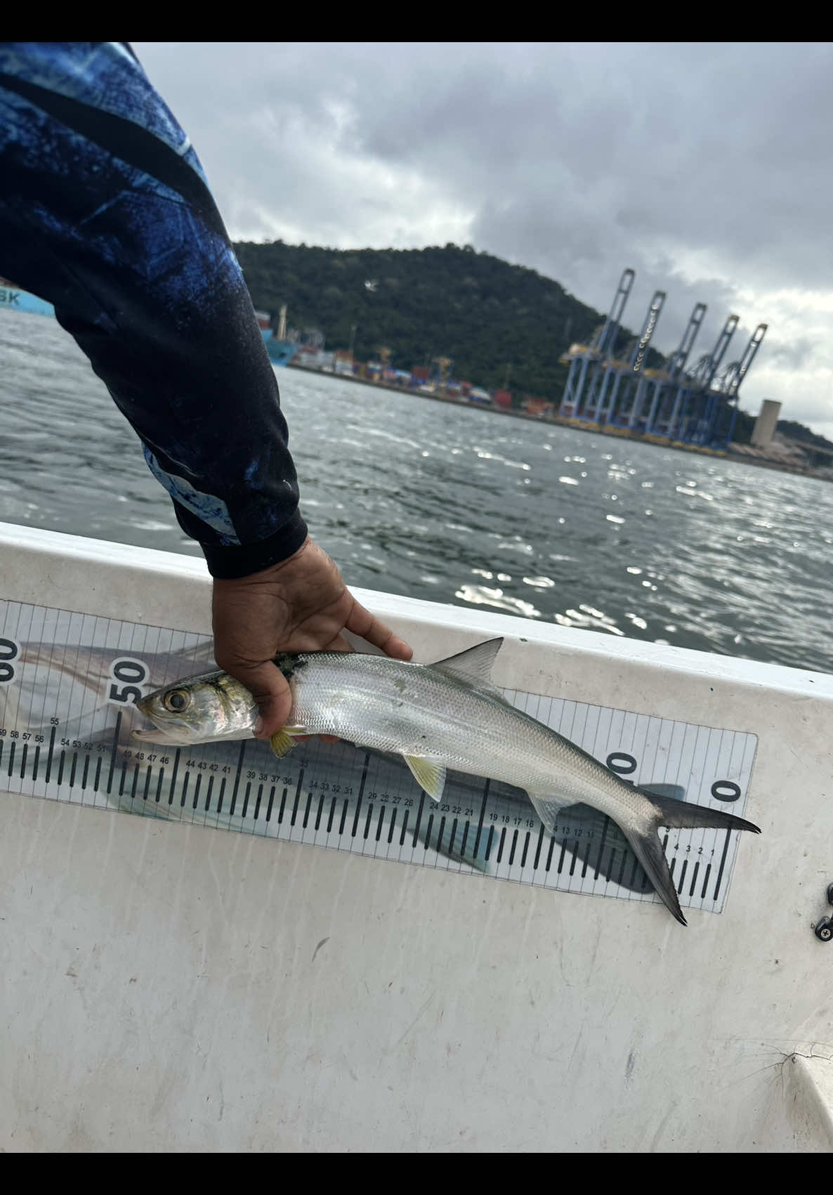 @Bideu Fishing