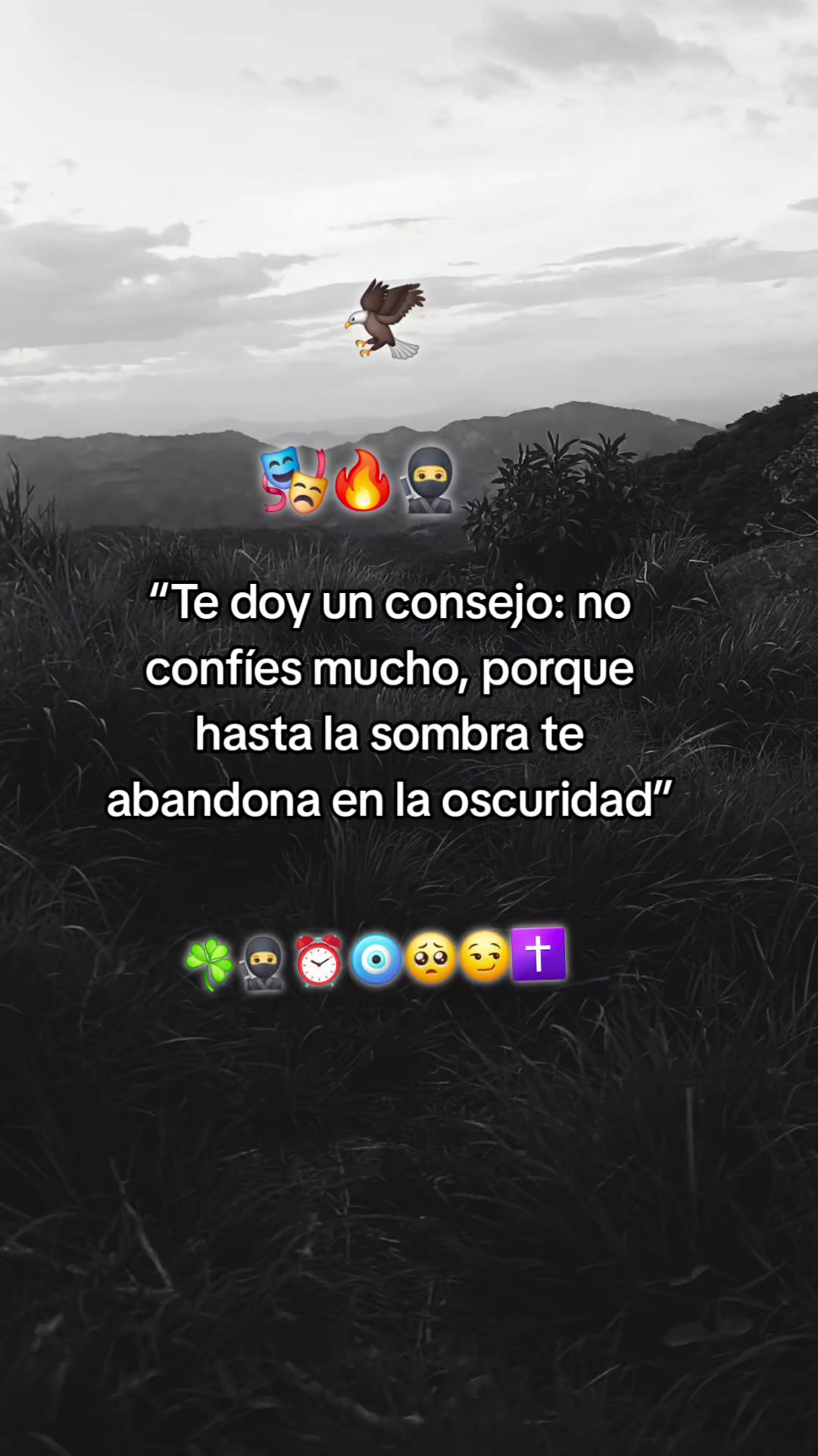 @☘️el chero31🥷☘️