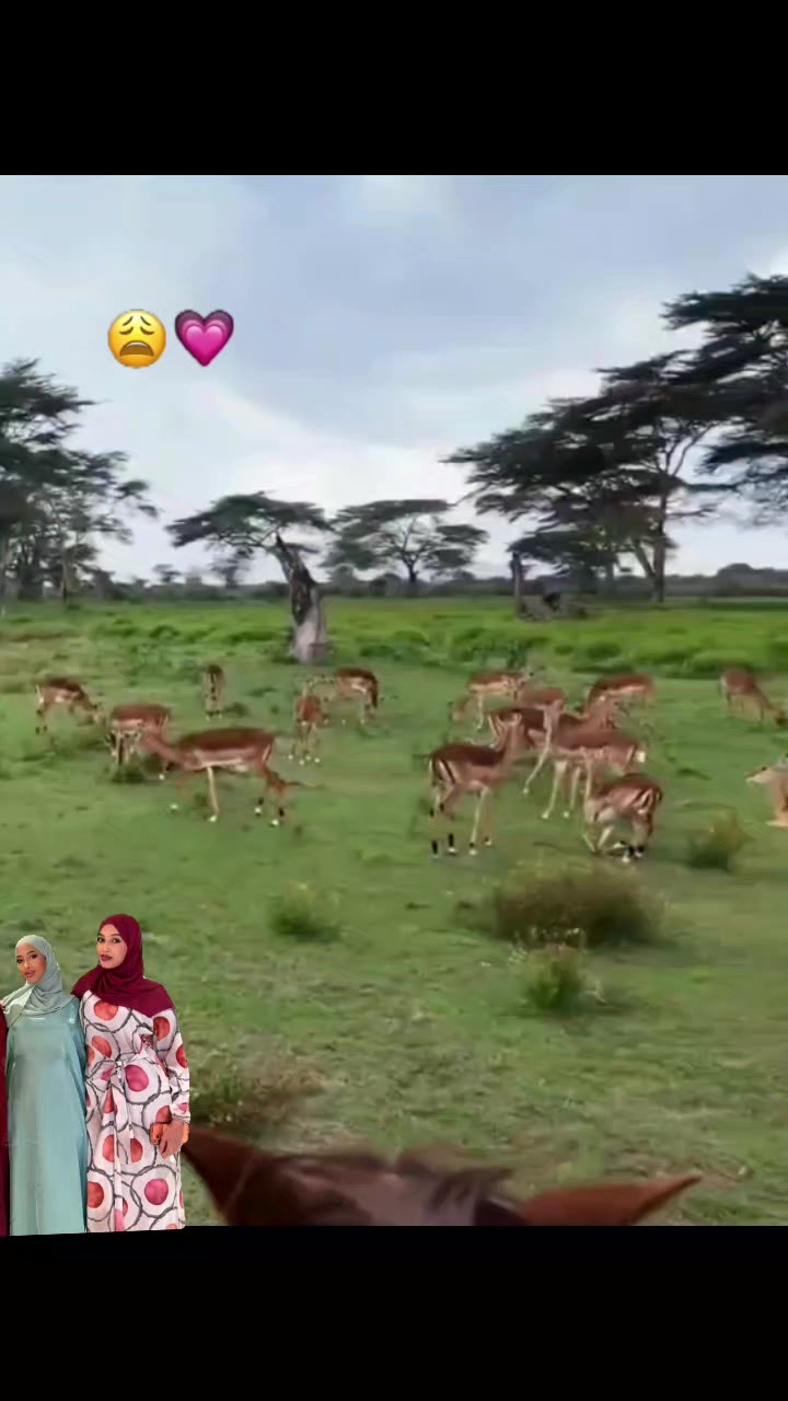 @♡Xafza 🦢
