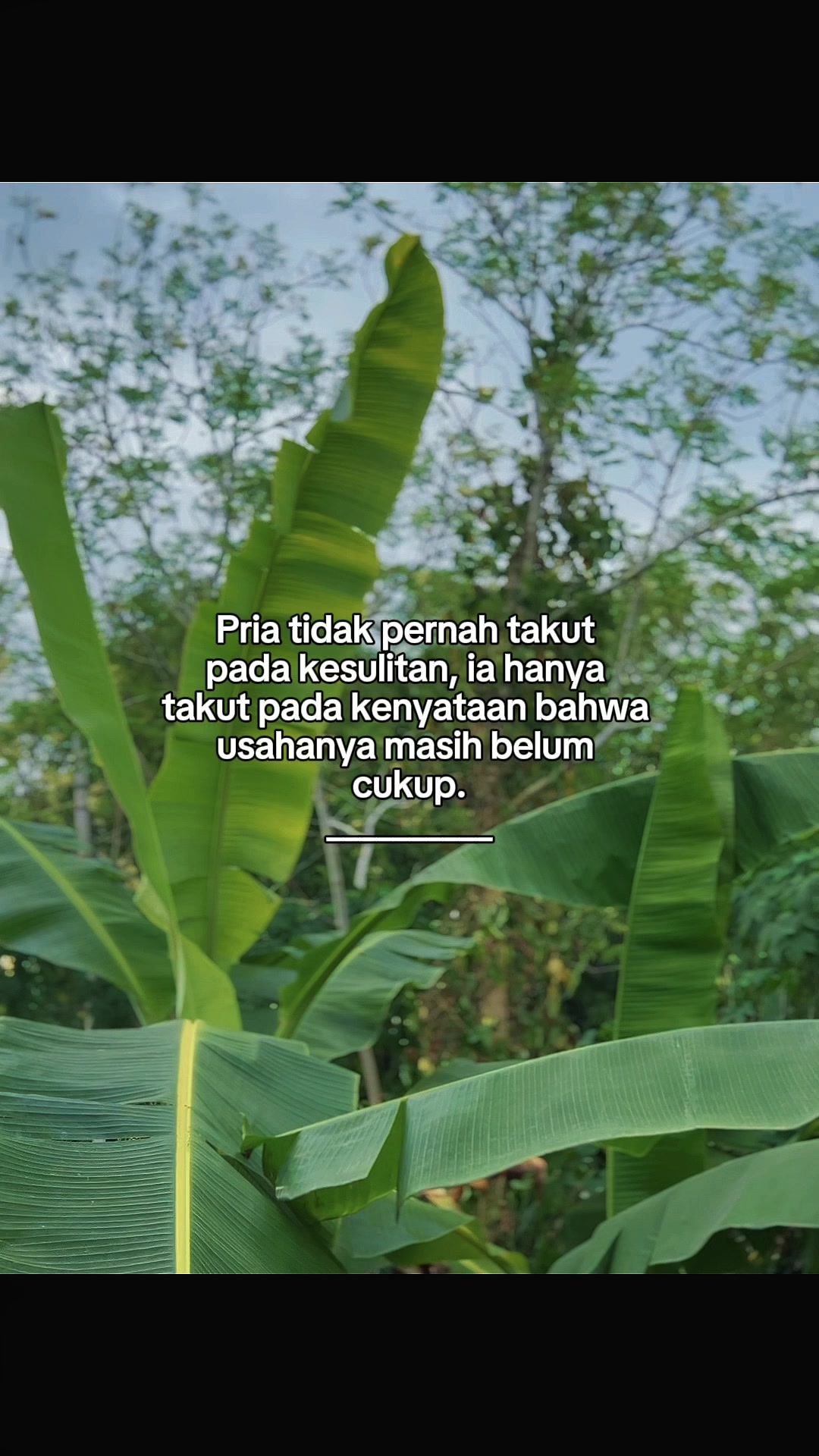 @INTROVERT