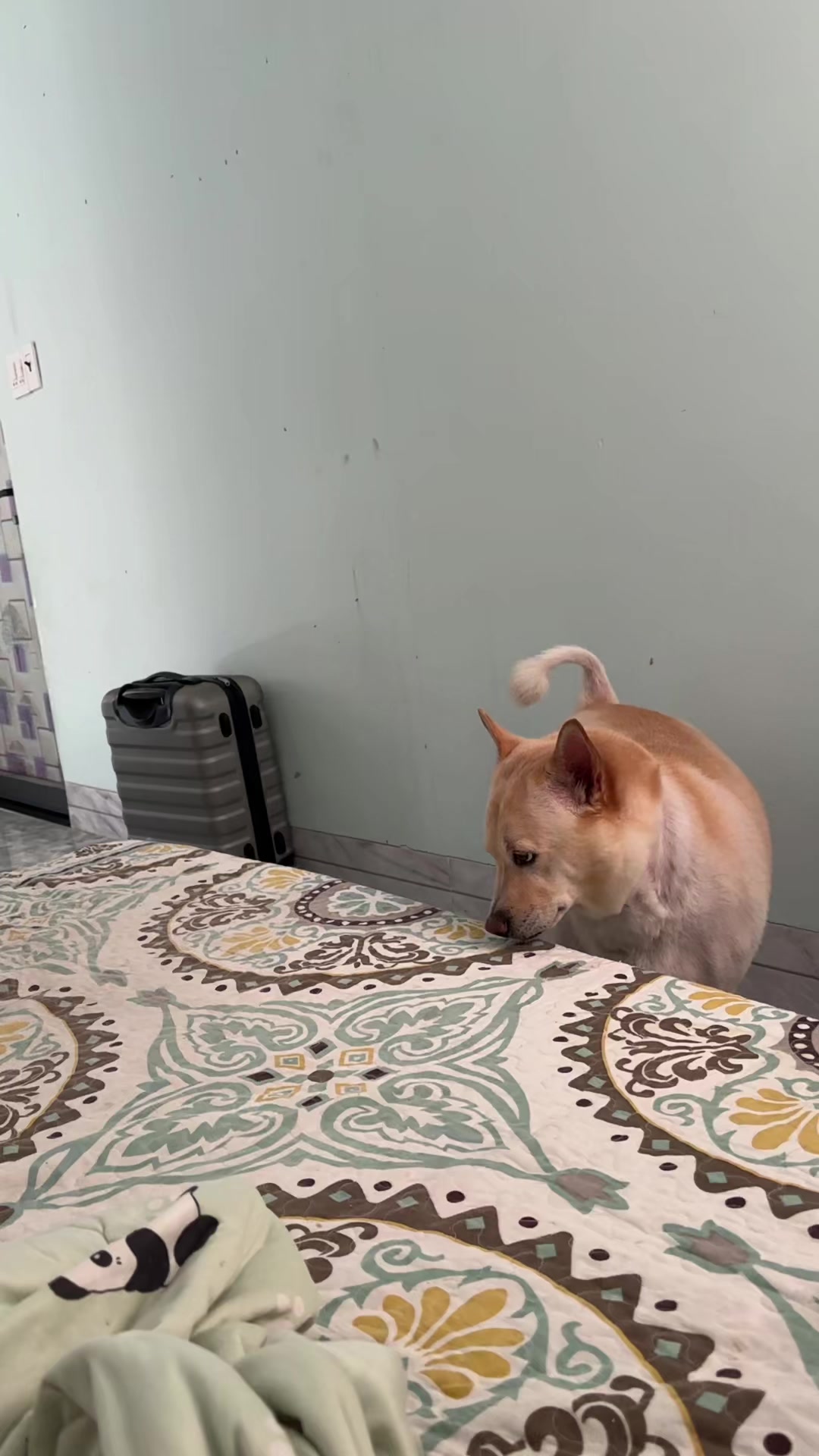 @Linky Hồ