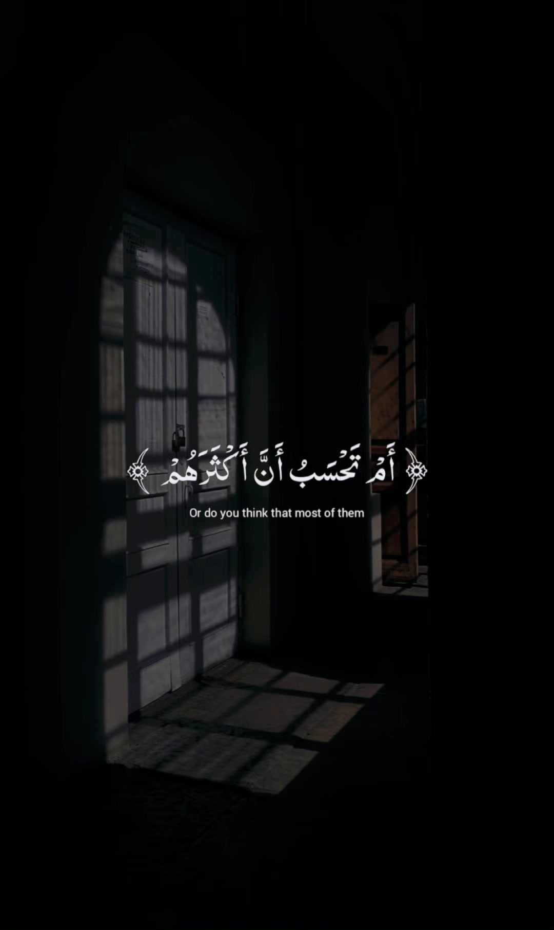 @.آيليڤ🎵..