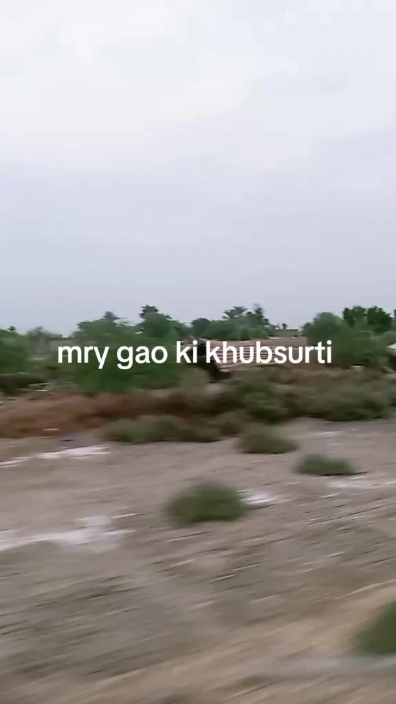 @Sindhi chokri💫🥰♥️
