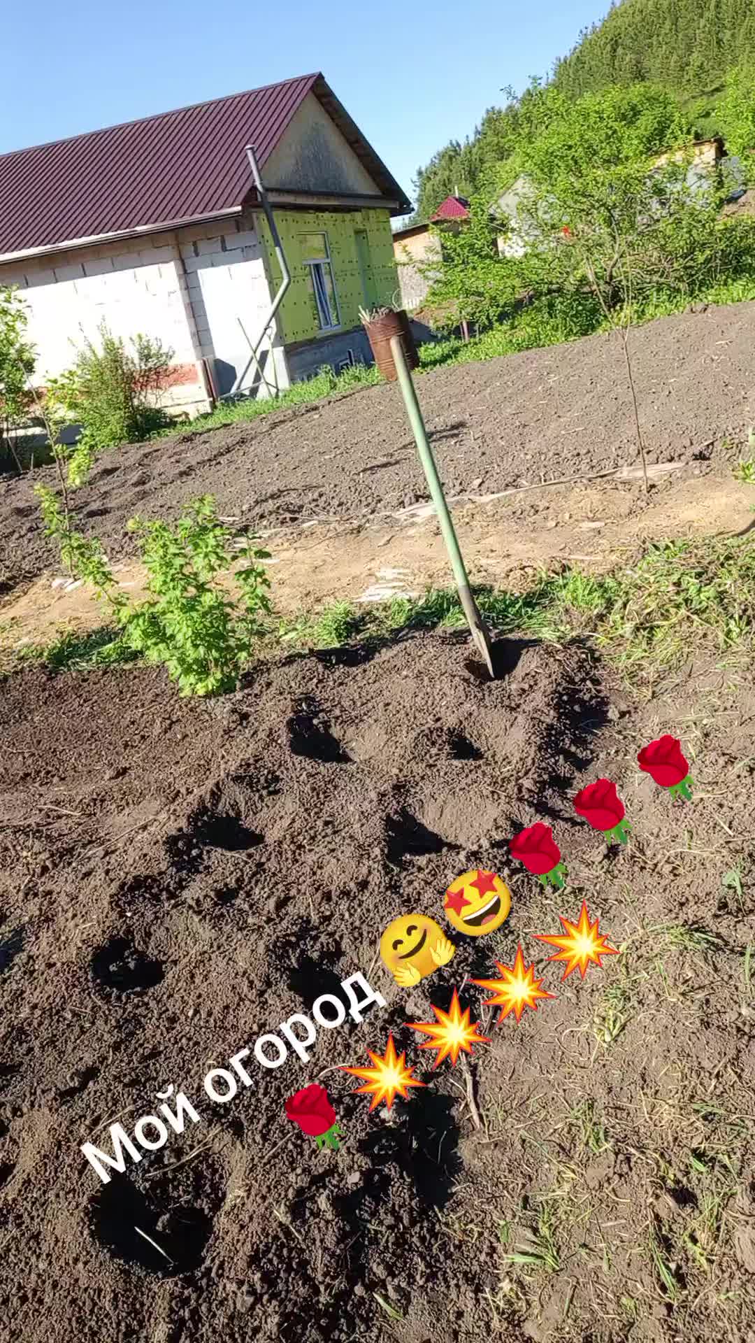 @Натали 🥰🥰🥰🥰☑️☑️☑️