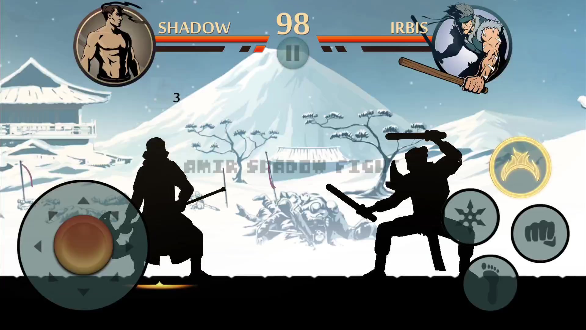 @Amir Shadow Fight