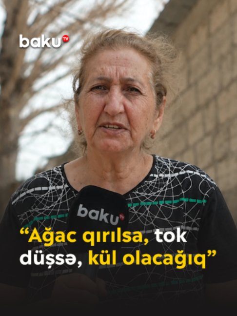 @baku.tv