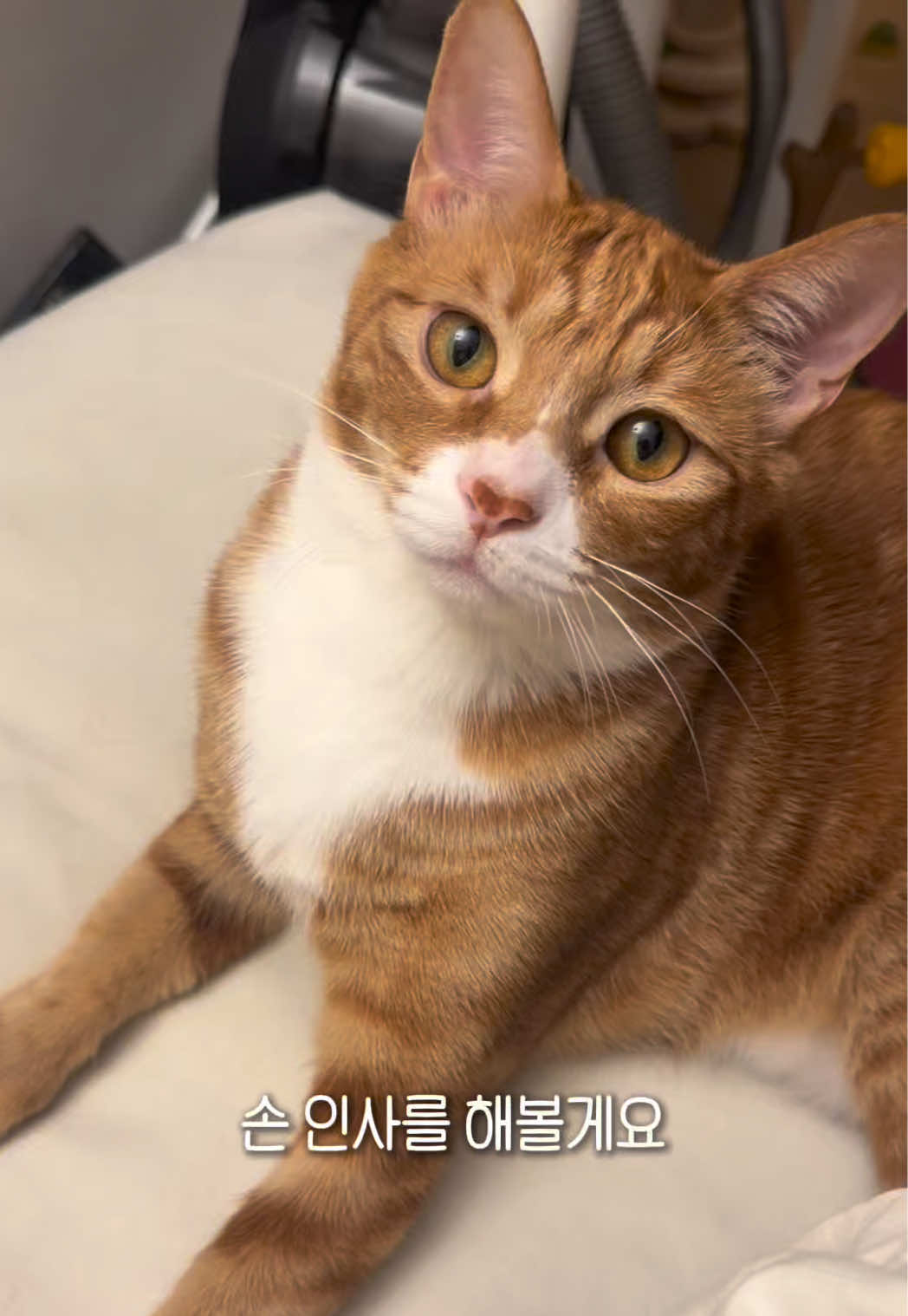 @뮤춘삼
