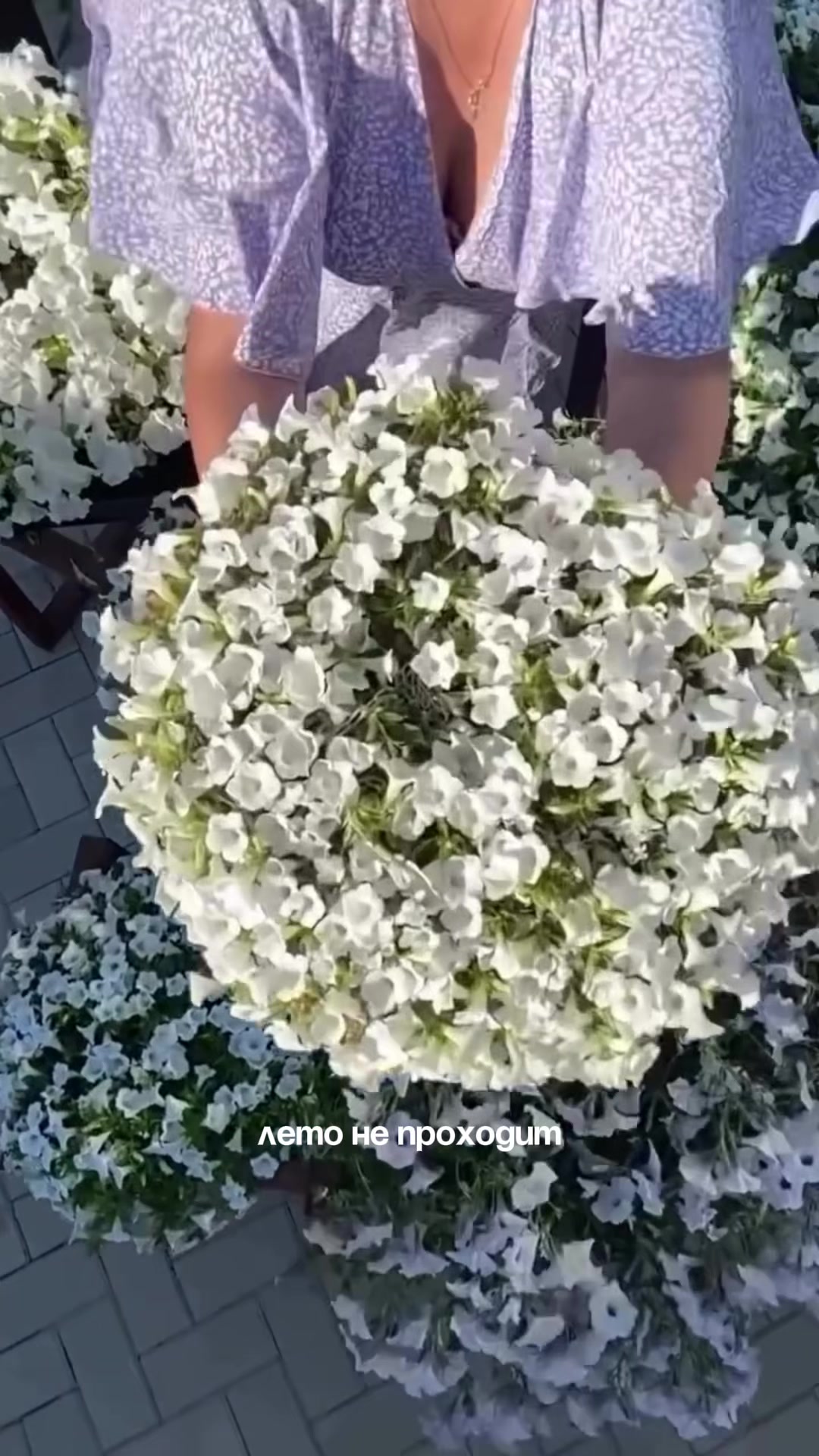 @PosevMari