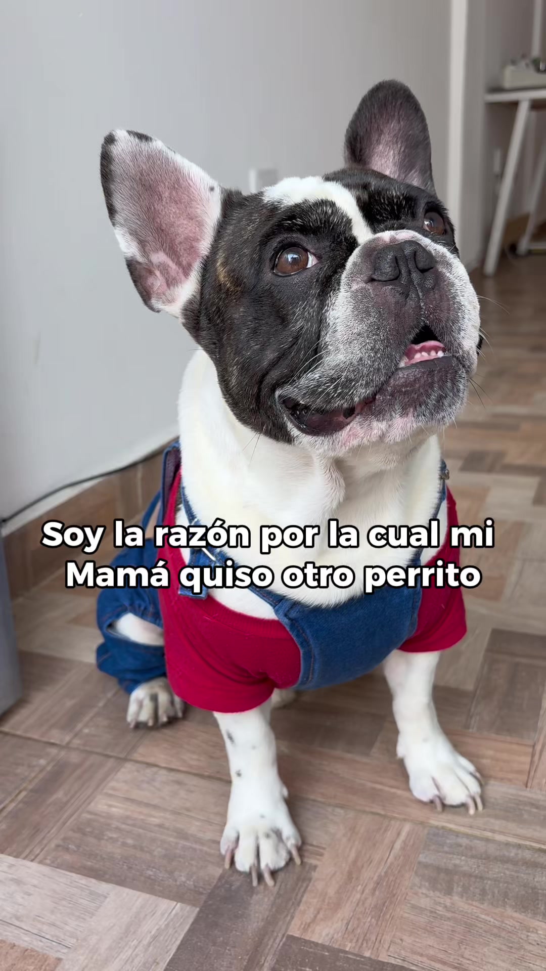 @Maria Fer