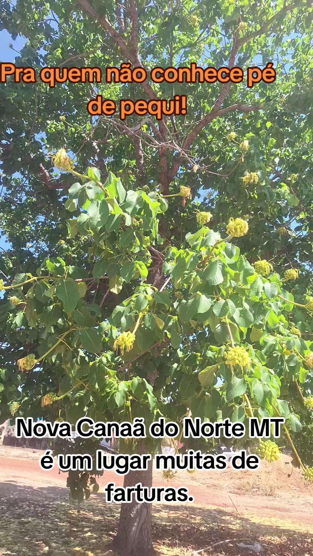 @Nalzedir Fran&ccedil;a Milit&atilde;o