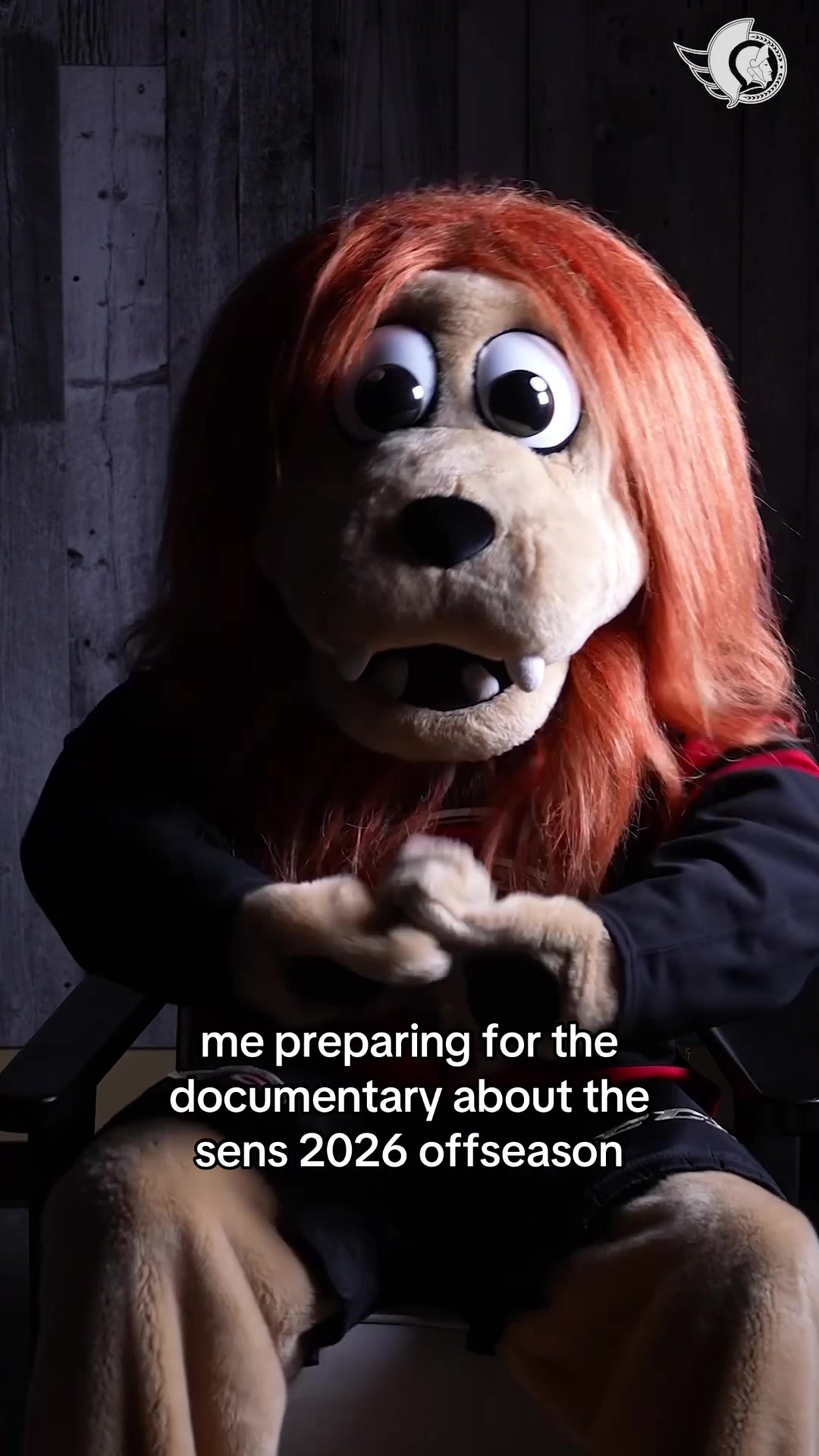@Ottawa Senators