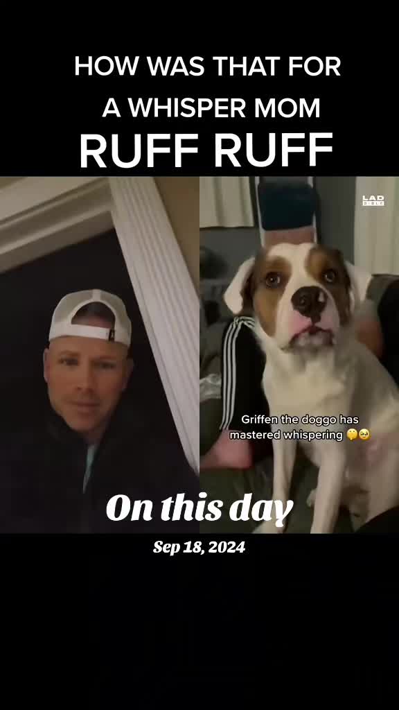 @Shredmaster3000