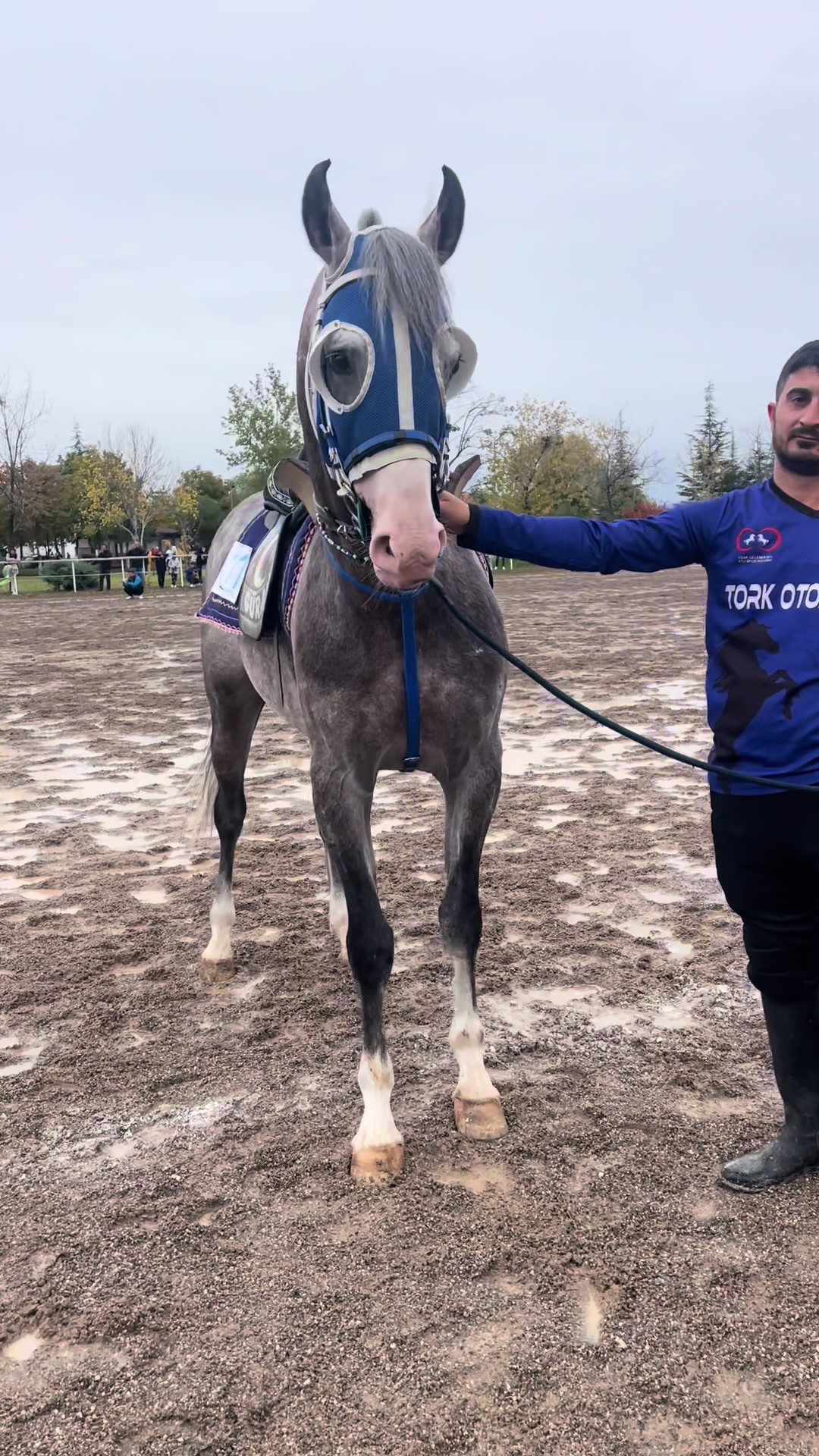 @Güray Çay