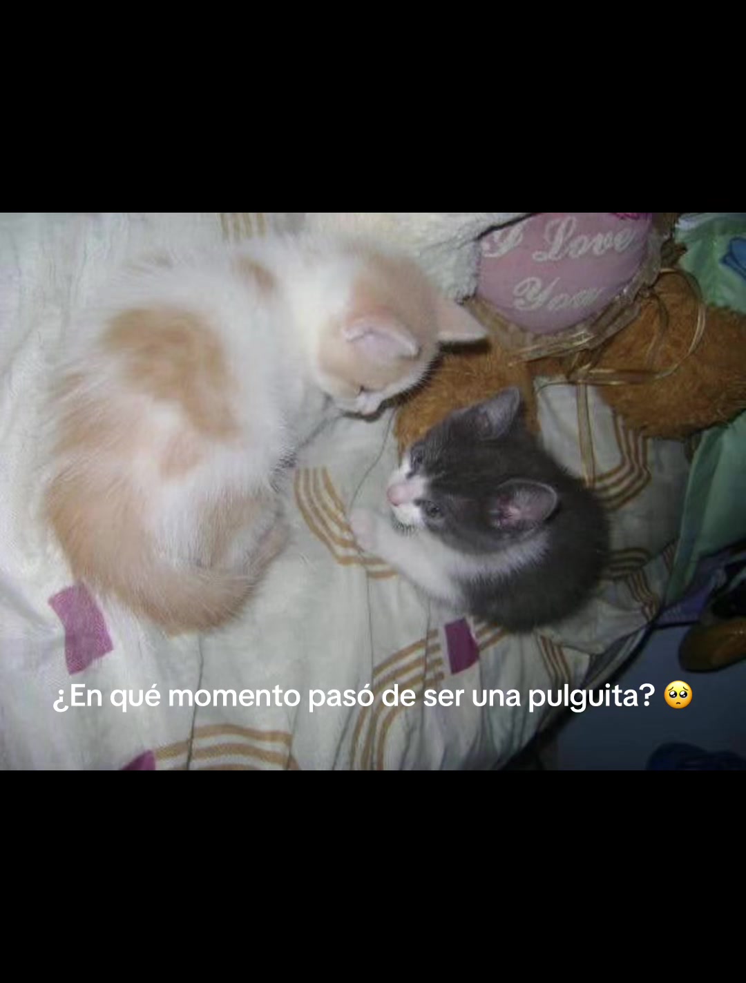 @Jeniffer Mar&iacute;a