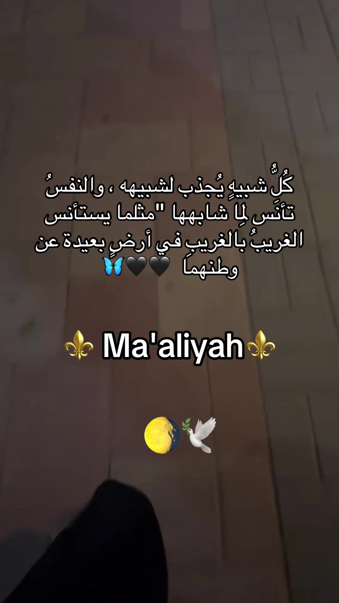 @Ma'aliyah🐆🐆🌕