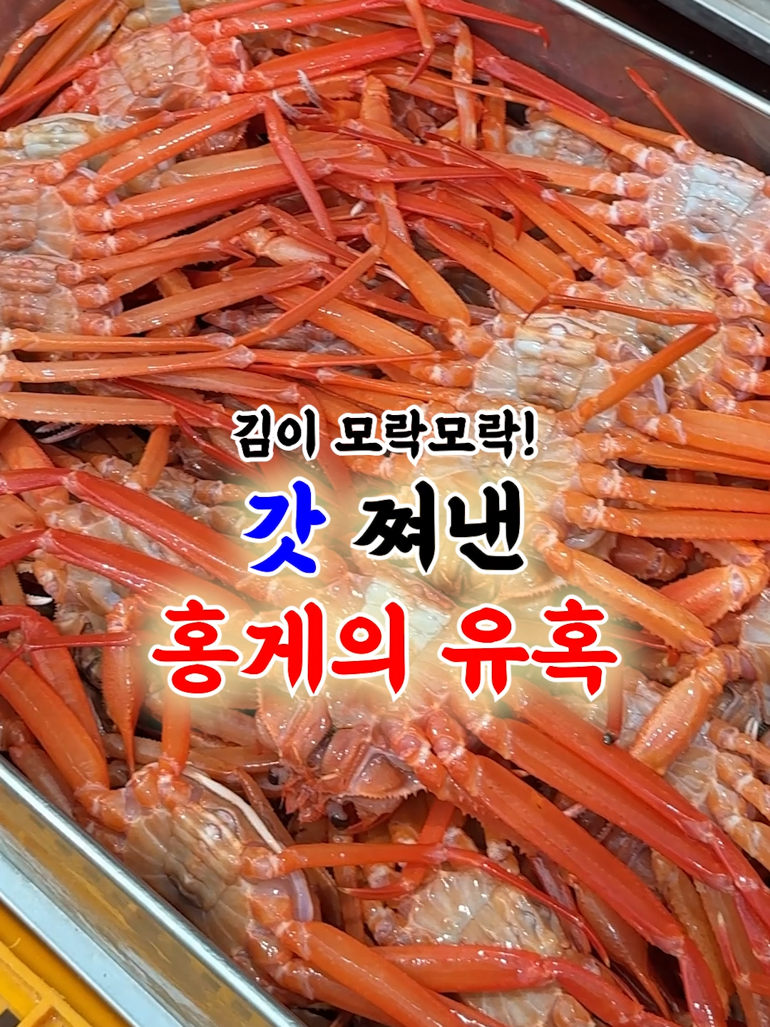 @싱싱헌터스