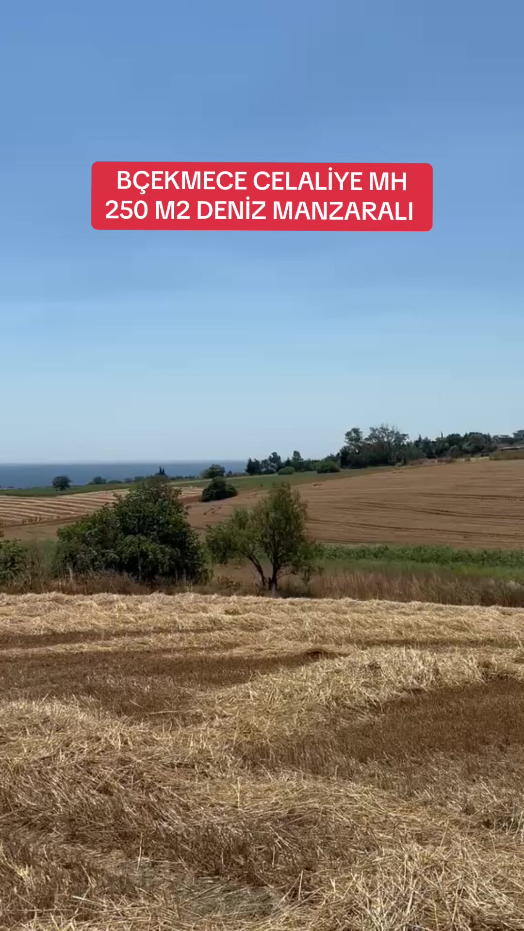 @DURU ARSA OFİSİ