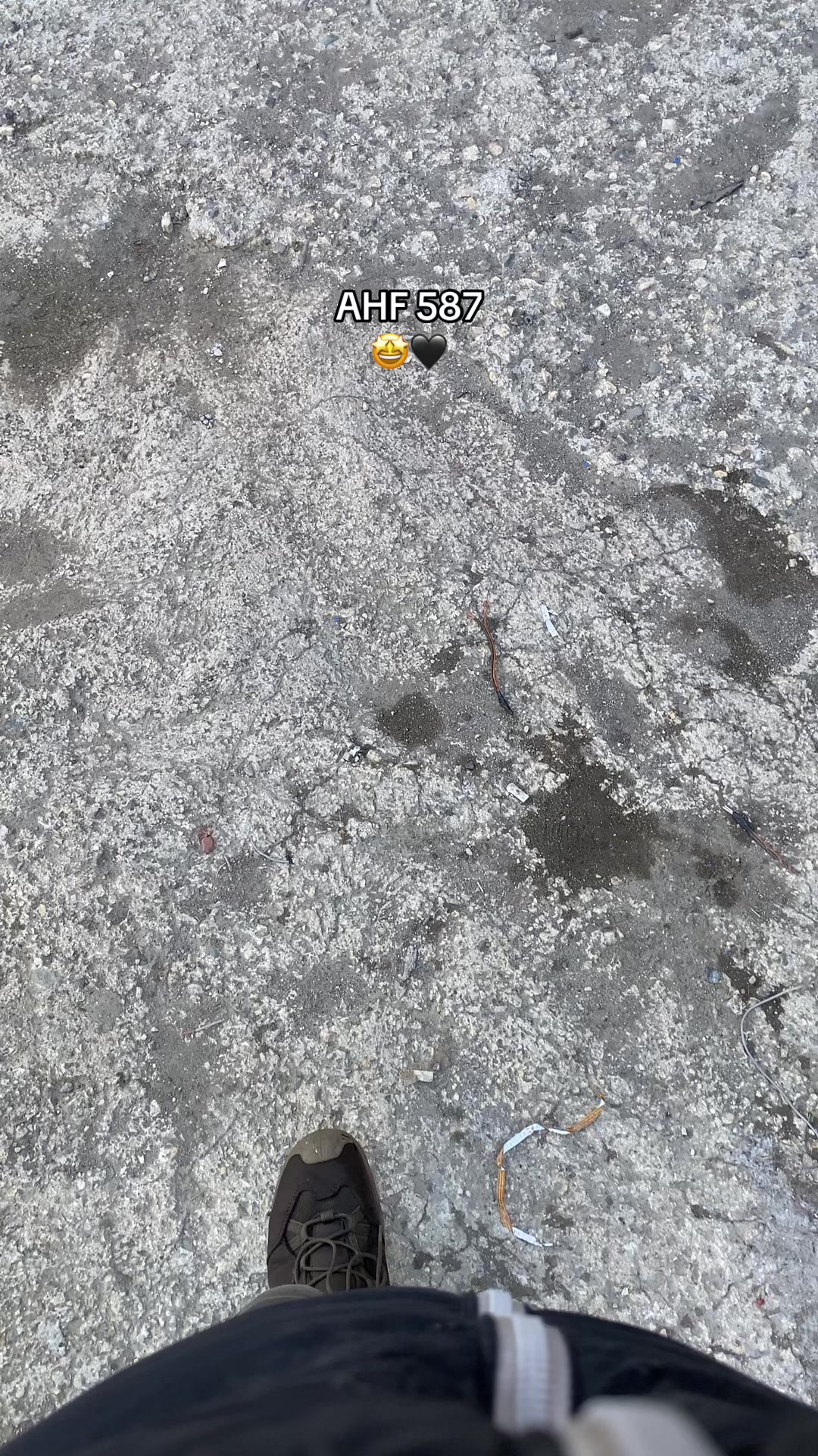 @F.K
