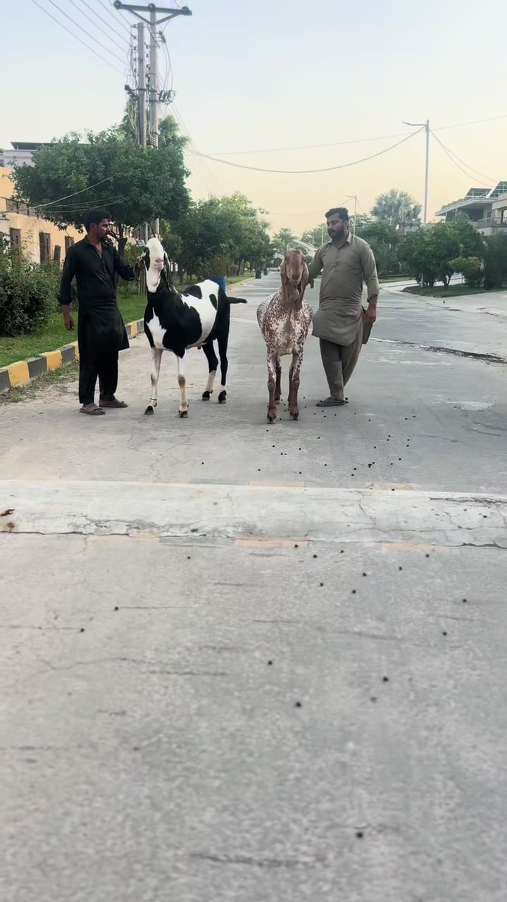 @Usakir adnan